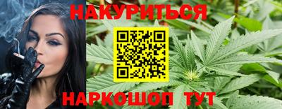 jwh Нальчик