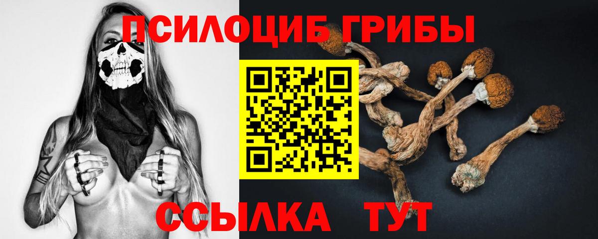 Псилоцибиновые грибы мухоморы Сосновоборск