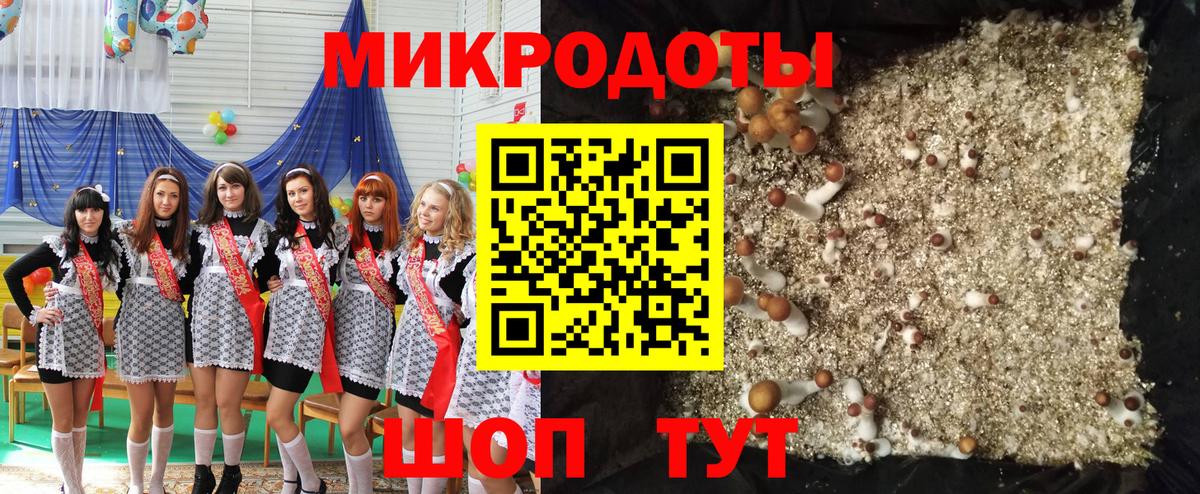 Псилоцибиновые грибы MAGIC MUSHROOMS  Вход с VPN  Сосновоборск 