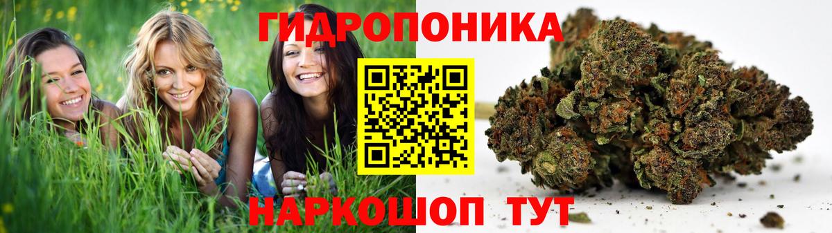 МАРИХУАНА SATIVA & INDICA  Шишки марихуана ГИДРОПОН  Вход с VPN  Канабис план  Сосновоборск  МАРИХУАНА гибрид 
